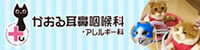 かおる耳鼻咽喉科・アレルギー科
